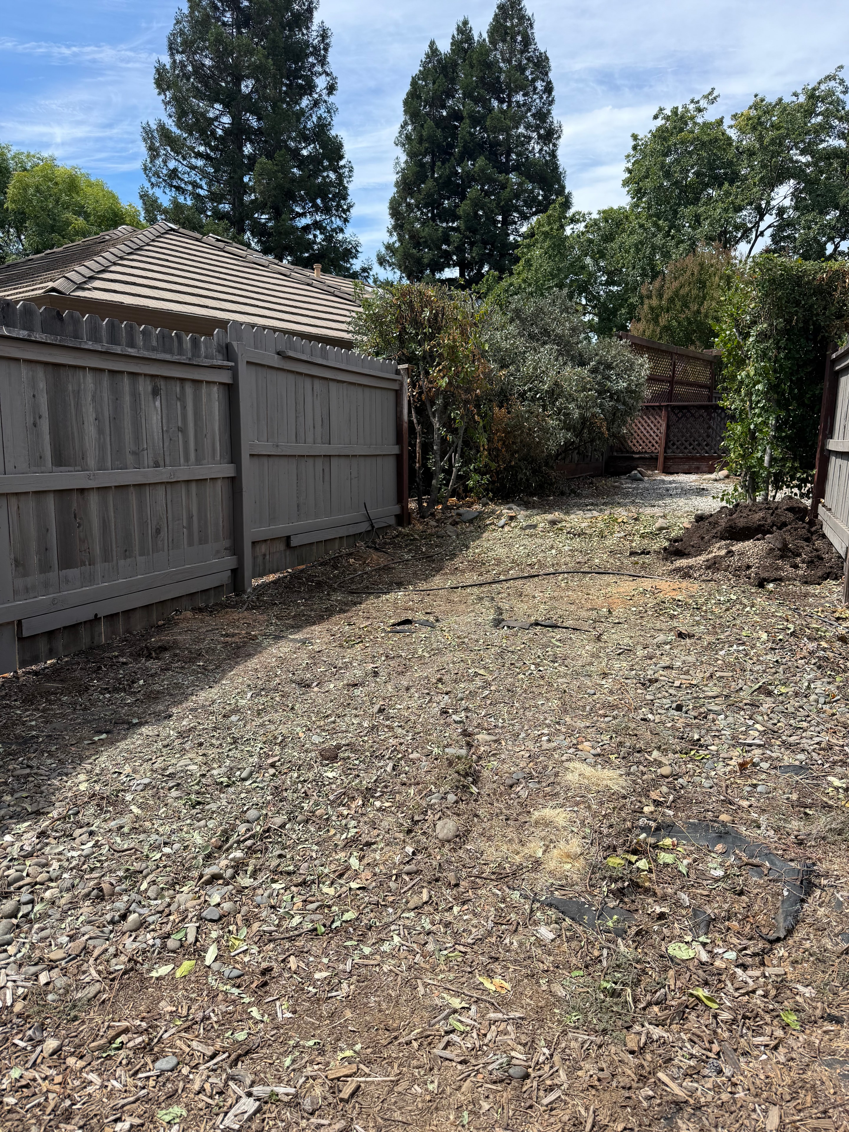 Yard Debris Cleanout — After